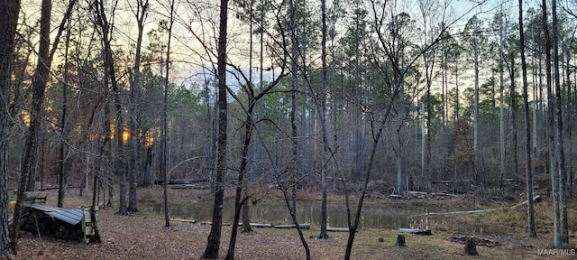 view of local wilderness featuring a forest view