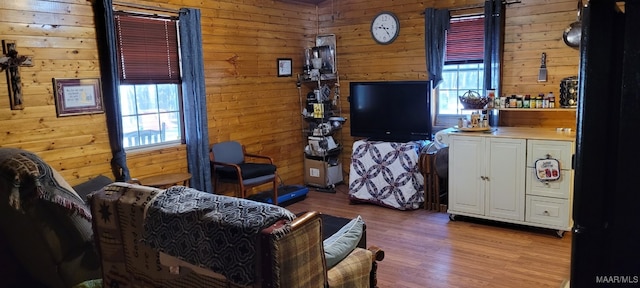 living area with wood walls and wood finished floors