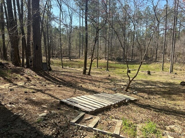 1186 Bethlehem Rd, Equality, AL 36026 - photo 26
