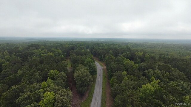 1186 Bethlehem Rd, Equality, AL 36026 - photo 32