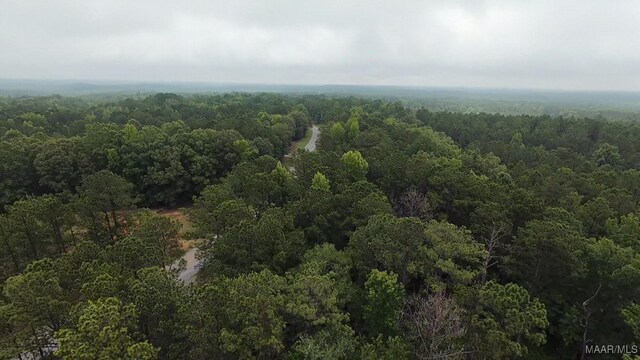 1186 Bethlehem Rd, Equality, AL 36026 - photo 33