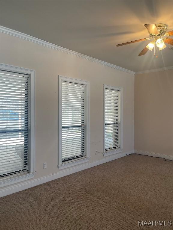 empty room with ornamental molding, carpet flooring, a ceiling fan, and baseboards