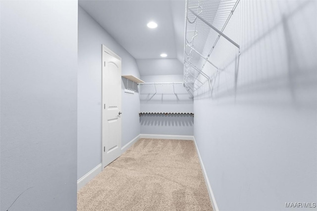 walk in closet featuring carpet flooring