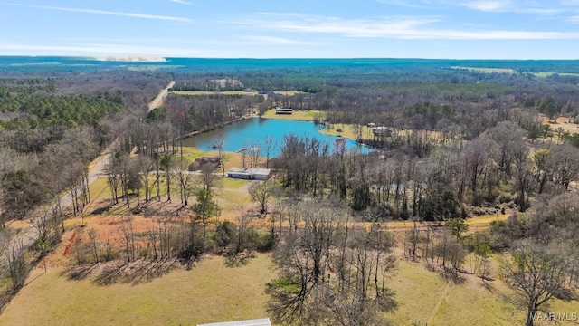 bird's eye view with a water view and a view of trees