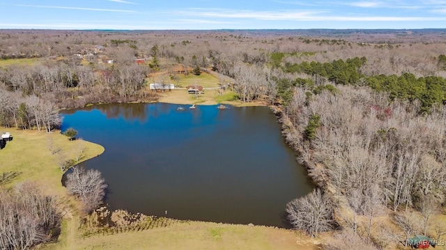 bird's eye view featuring a water view and a forest view