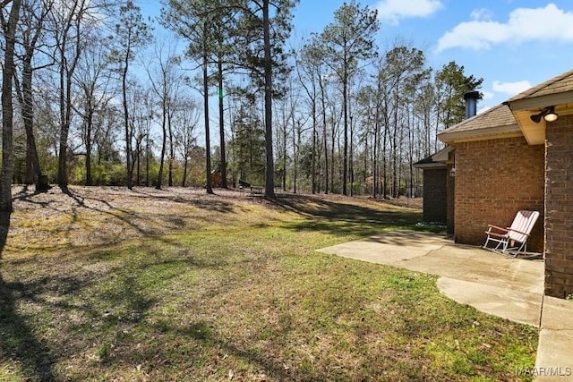 view of yard featuring a patio