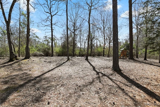 view of local wilderness