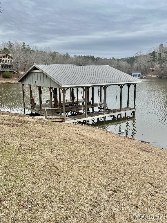 753 Bluff Rd, Rockford, AL 35136 - view of dock with a water view and boat lift