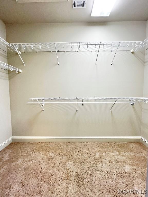 walk in closet featuring carpet floors and visible vents