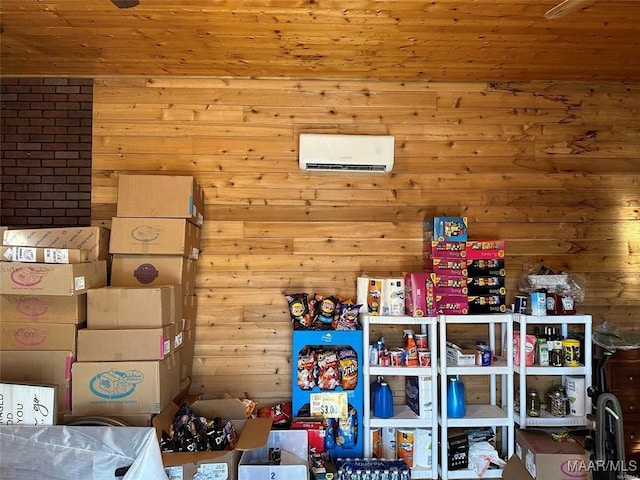 storage with an AC wall unit