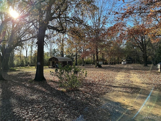 view of yard featuring a storage shed and an outdoor structure
