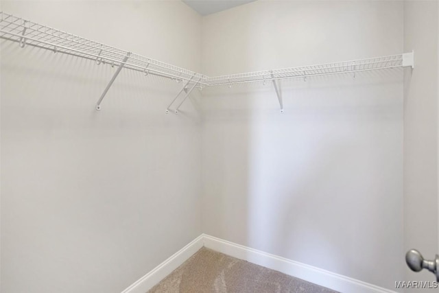 spacious closet with carpet floors