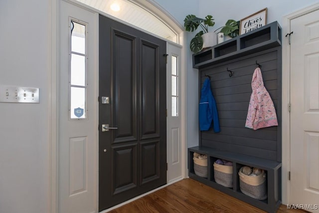 mudroom featuring dark wood-type flooring