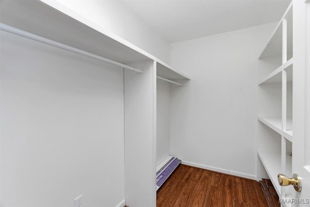 walk in closet with a baseboard radiator and wood finished floors