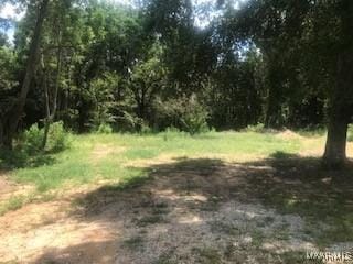 303 Daniel Branch Rd, Highland Home AL, 36041 land for sale