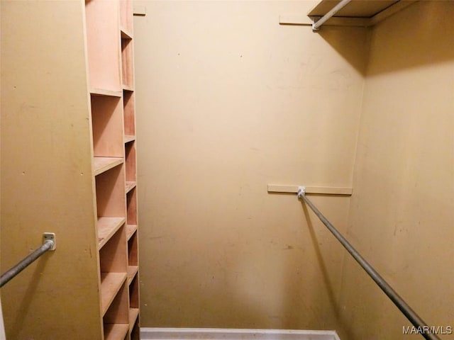 view of walk in closet