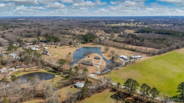 9524 County Road 42nd Rd, Jemison, AL 35085 - drone / aerial view featuring a water view