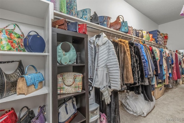 9524 County Road 42nd Rd, Jemison, AL 35085 - spacious closet with carpet
