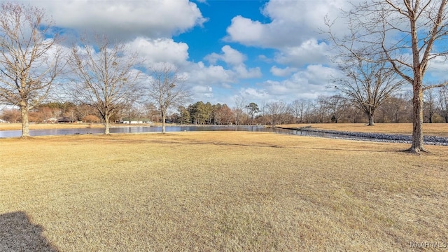 9524 County Road 42nd Rd, Jemison, AL 35085 - view of yard featuring a water view