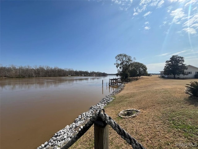 dock area with a water view