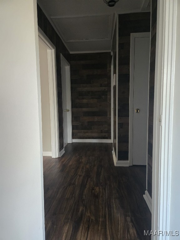 hallway featuring wooden walls, baseboards, and dark wood-type flooring