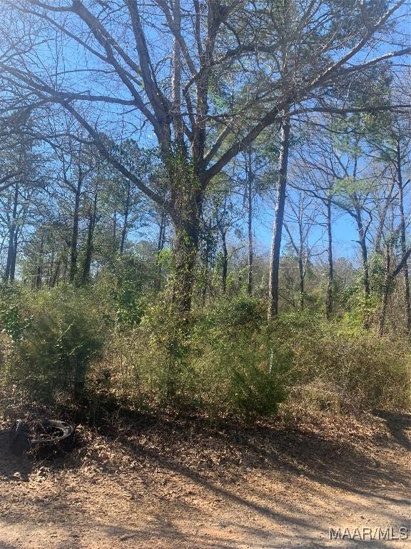 0 Derry St, Tallassee AL, 36023 land for sale