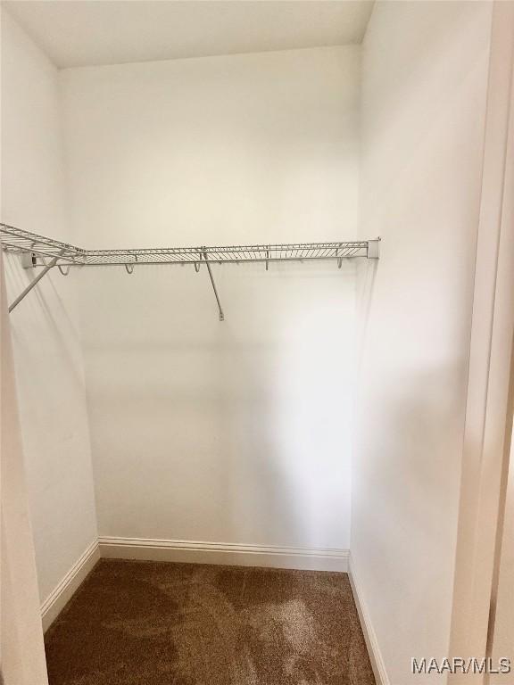 walk in closet with carpet