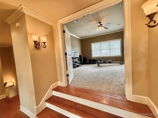 hall featuring carpet floors, baseboards, visible vents, and ornamental molding