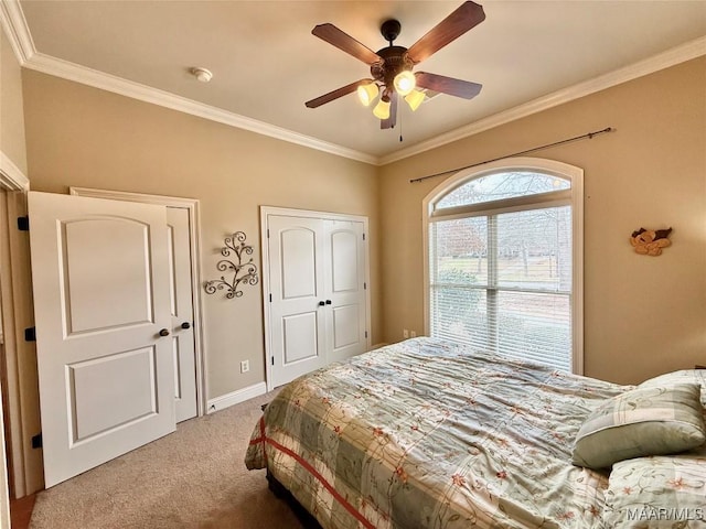 carpeted bedroom featuring multiple closets, a ceiling fan, baseboards, and crown molding