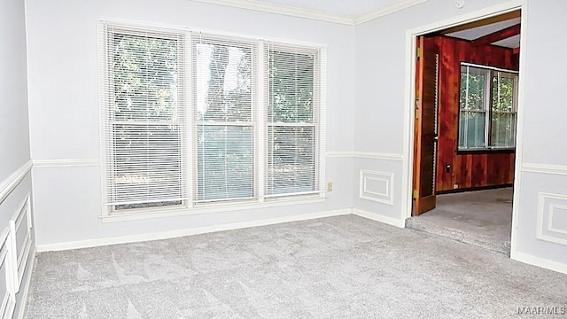 empty room featuring carpet and ornamental molding