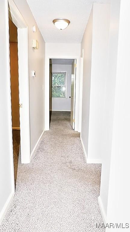 hall featuring carpet flooring and baseboards