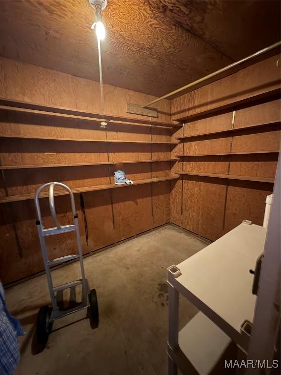 basement with wood walls