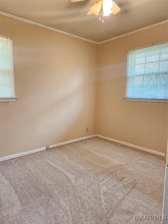 spare room featuring carpet floors, ornamental molding, a ceiling fan, and baseboards