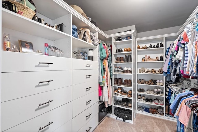 walk in closet with carpet floors