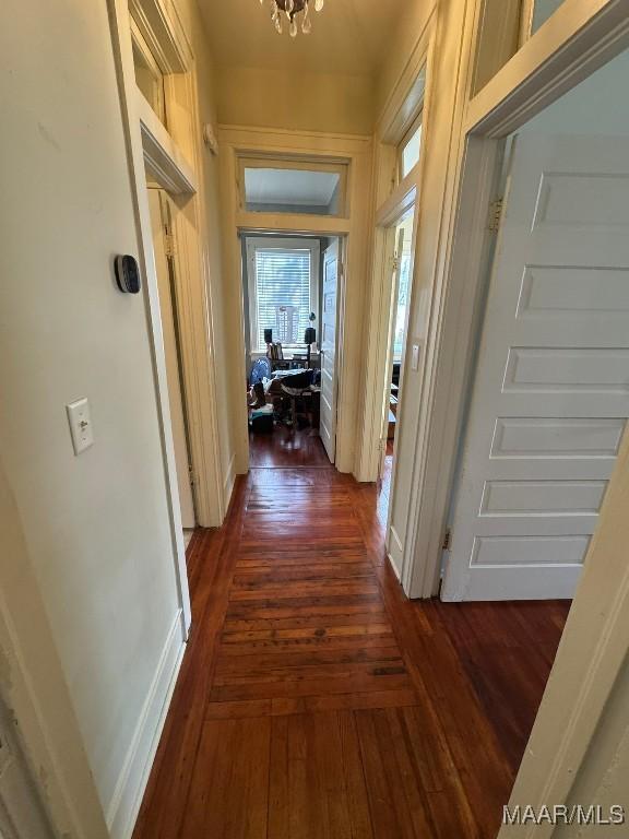 corridor featuring baseboards, a chandelier, and dark wood-style flooring