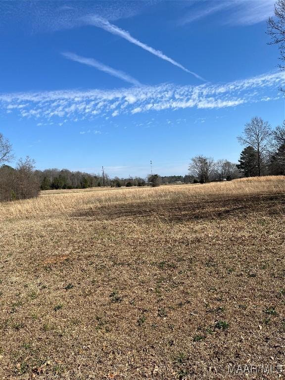 LTS456 Seymore Rd, Valley Grande AL, 36701 land for sale