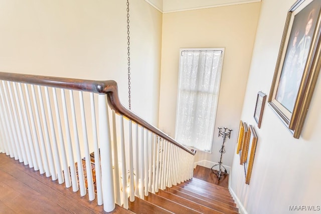 staircase featuring hardwood / wood-style flooring