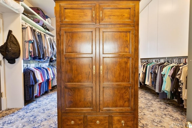 view of spacious closet