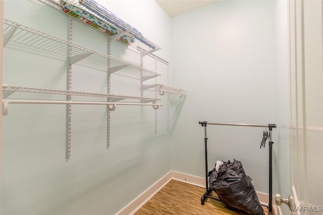 spacious closet featuring wood finished floors