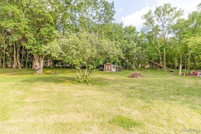 view of yard featuring a storage unit and an outdoor structure