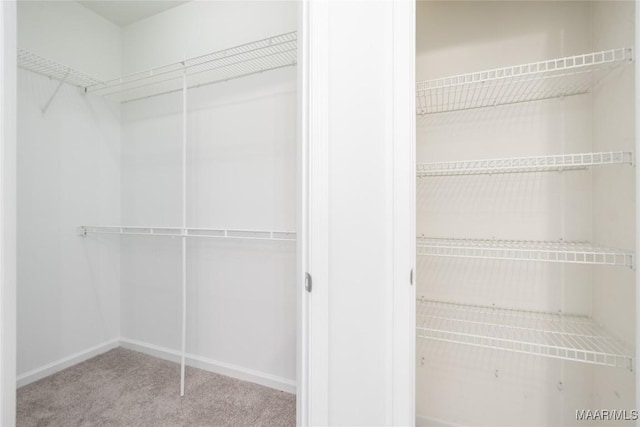 walk in closet with carpet