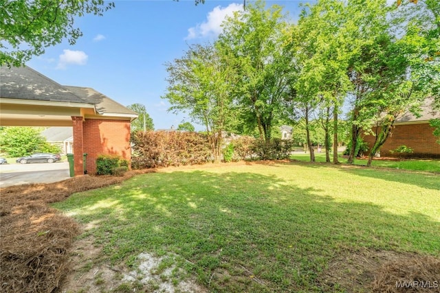 view of yard with a carport