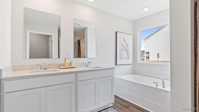 bathroom with wood finished floors, a sink, a bath, and double vanity