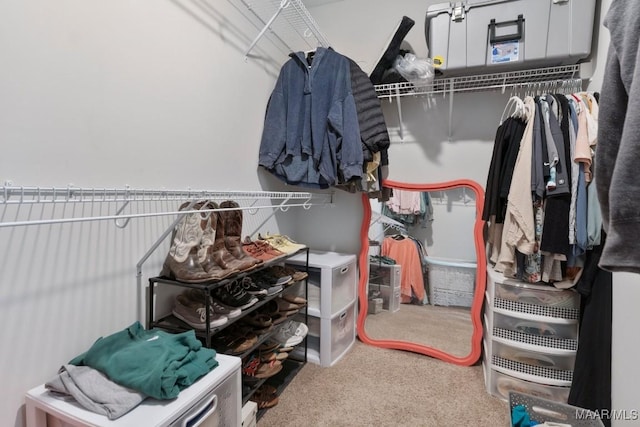 walk in closet featuring carpet