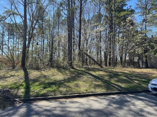 4642 Turfway Park, Montgomery AL, 36109 land for sale