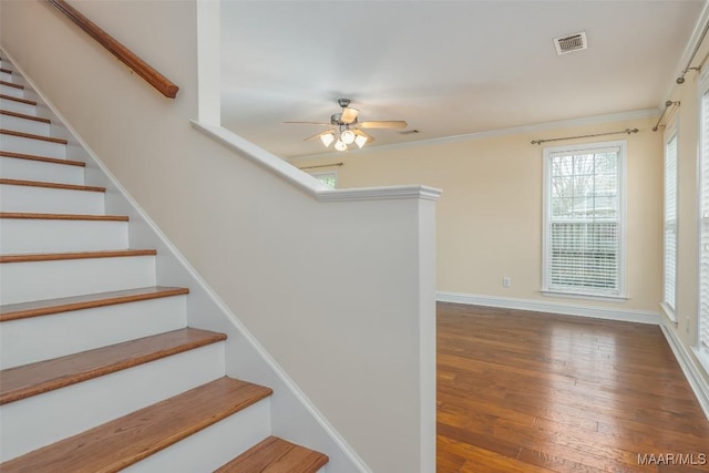 staircase with ceiling fan, hardwood / wood-style flooring, visible vents, baseboards, and ornamental molding