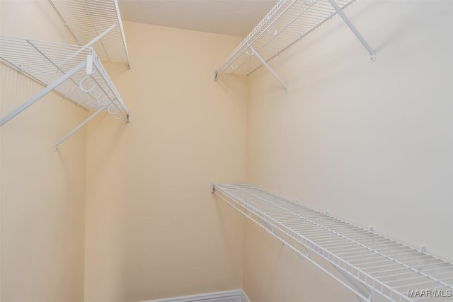 view of spacious closet