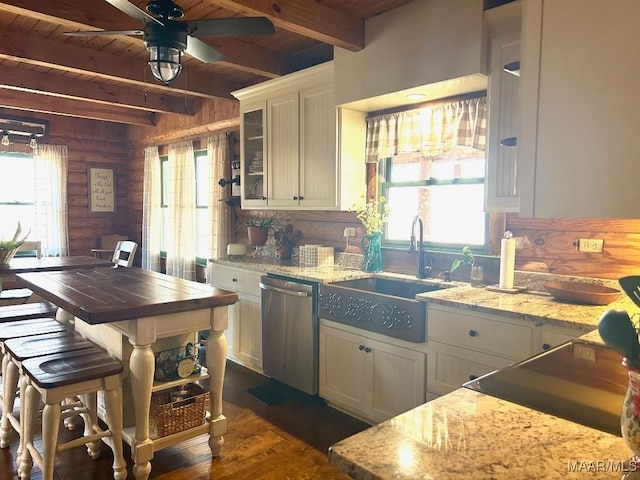 kitchen with a wealth of natural light, dark wood-style flooring, a sink, and stainless steel dishwasher