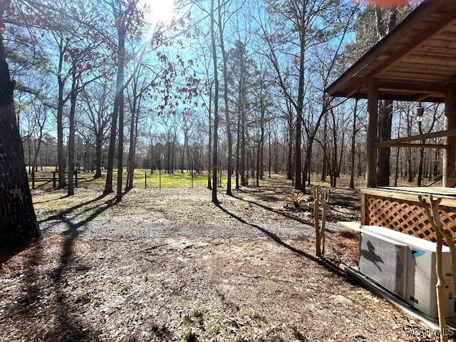 view of yard featuring driveway