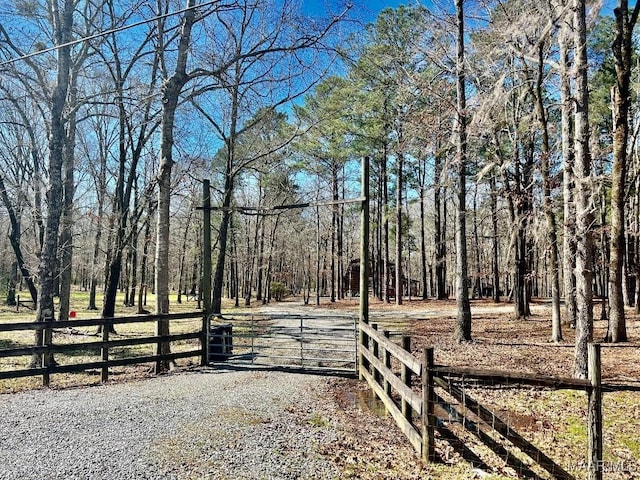 view of street with a gate